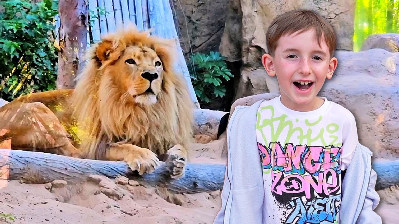 MARCEL W ZOO SPOTKANIE Z LWEM