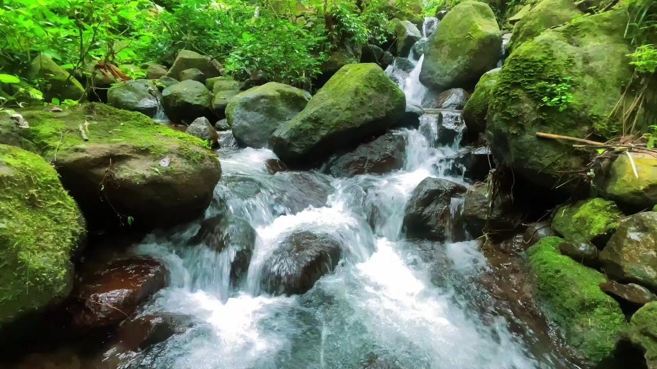 Moonlit River Serenity – Gentle Water Sounds to Help You Relax and Sleep Deeply