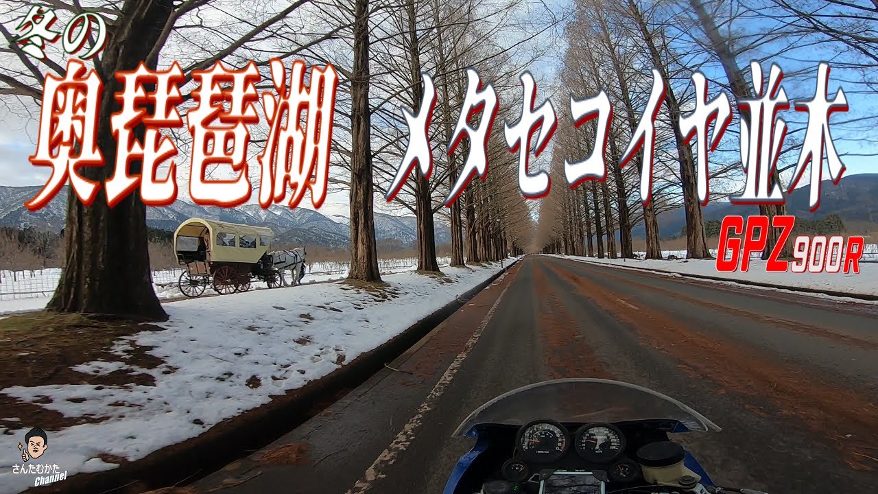 【Vol#252】GPZ900Rで行く冬のメタセコイヤ並木&奥琵琶湖そして乙女ヶ池【日帰りツーリング】【滋賀】