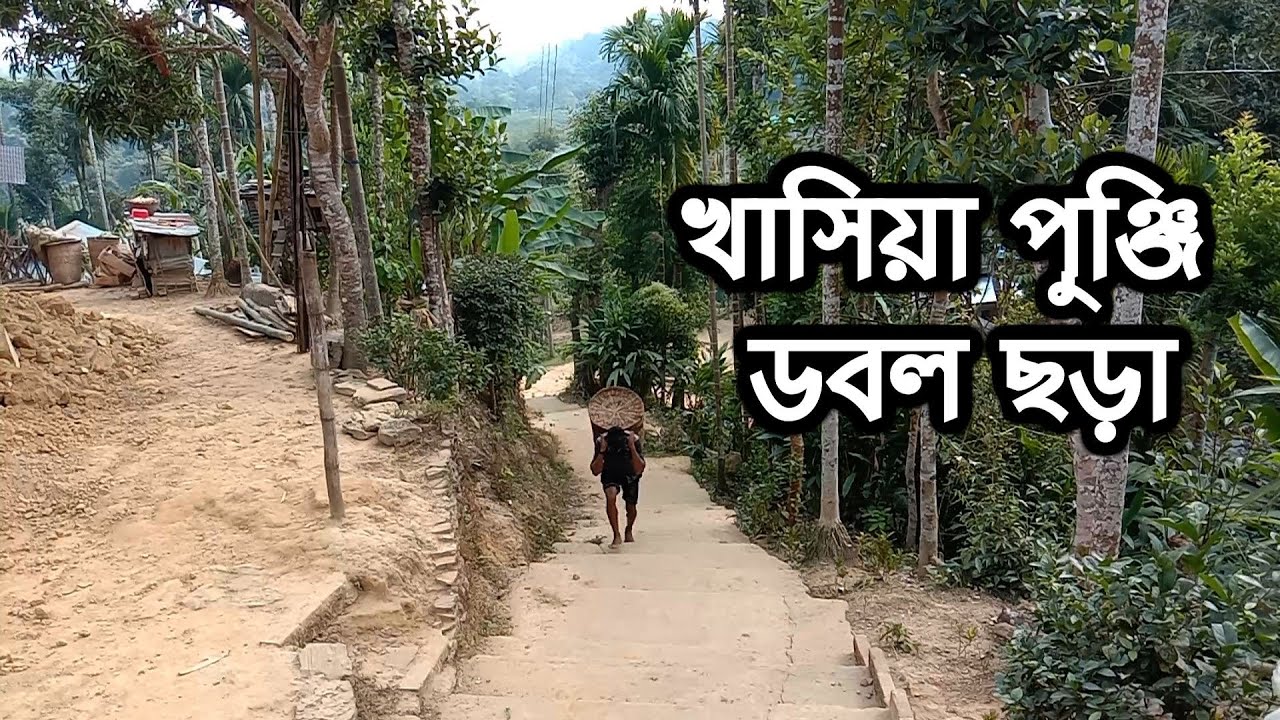 পান চাষ একমাত্র ভরসা খাসিয়া জনগোষ্ঠীর | খাসিয়াপুঞ্জি ডবলছড়া মৌলভীবাজার | Khasia Punji Dubble Chora