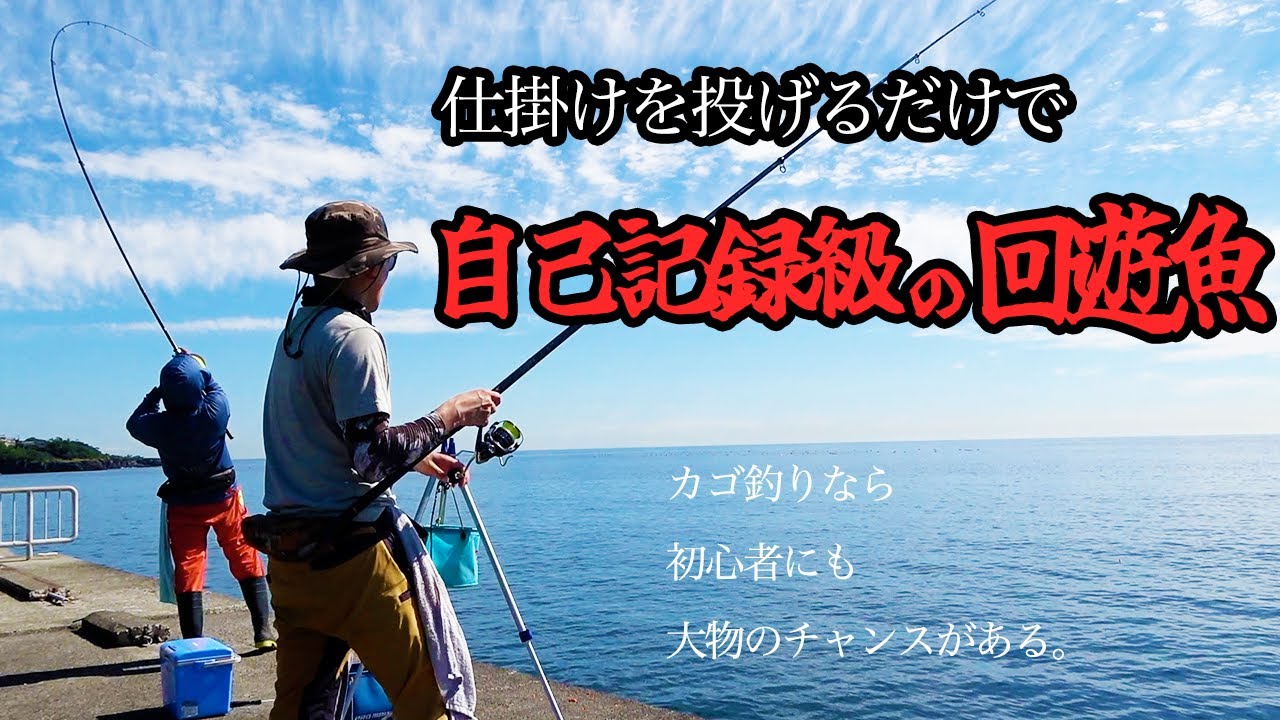 堤防カゴ釣りってやっぱりスゲェ！初心者がセット仕掛けでここまで楽しめるなんて。