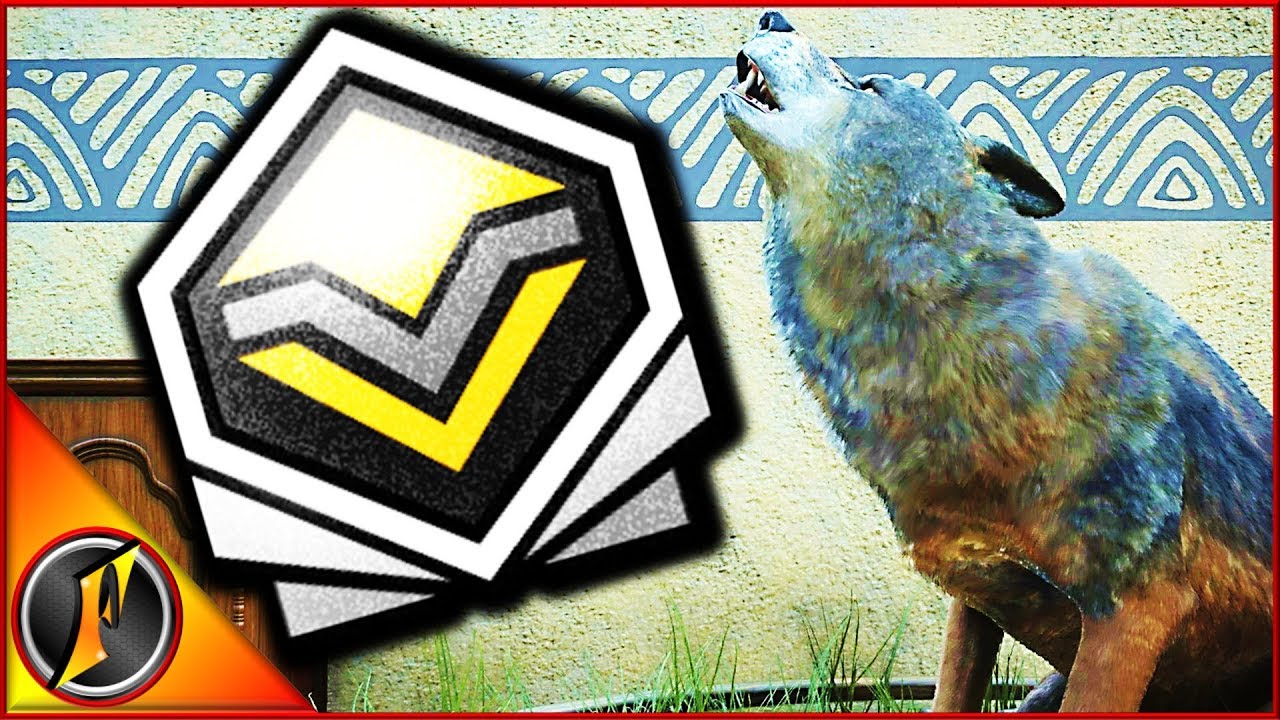Diamond Wolf & More on Cuatro Colinas!