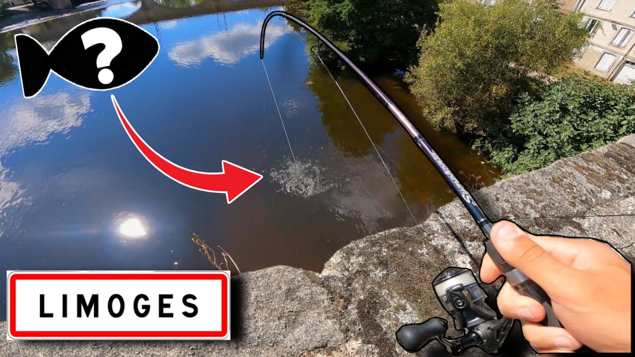 Je PÊCHE un de mes RECORDS sur le STREET FISHING de LIMOGES !