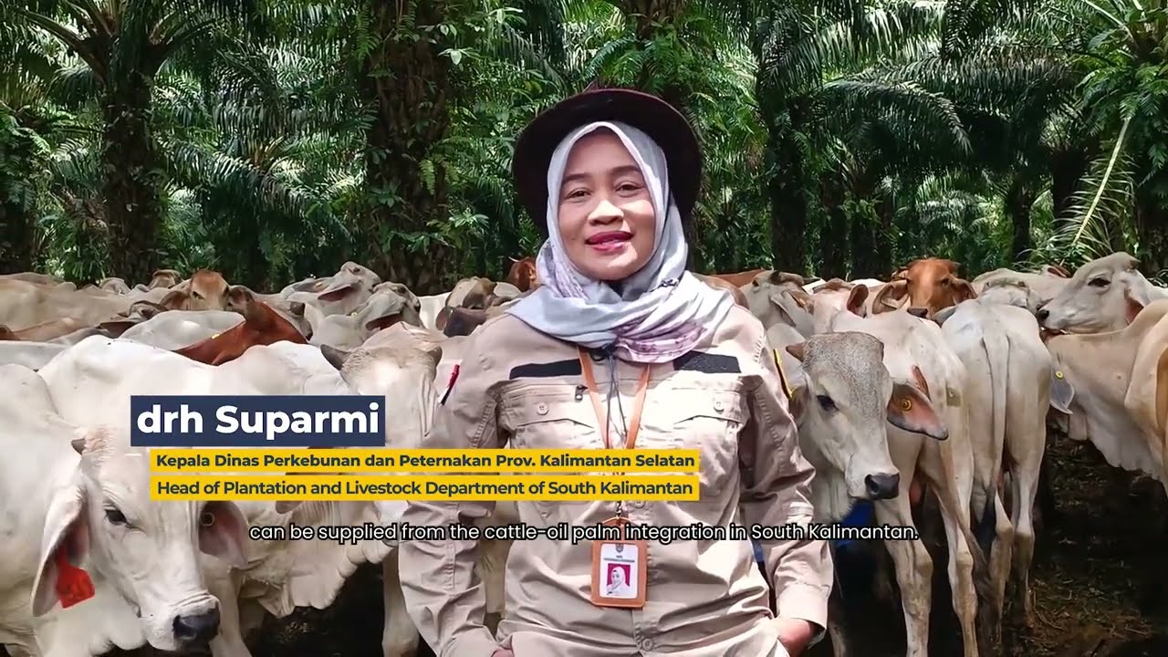 IARMCP: Sistem Integrasi Sapi Sawit berbasis Kemitraan Usaha Ternak Inti-Plasma (SISKA KU INTIP).