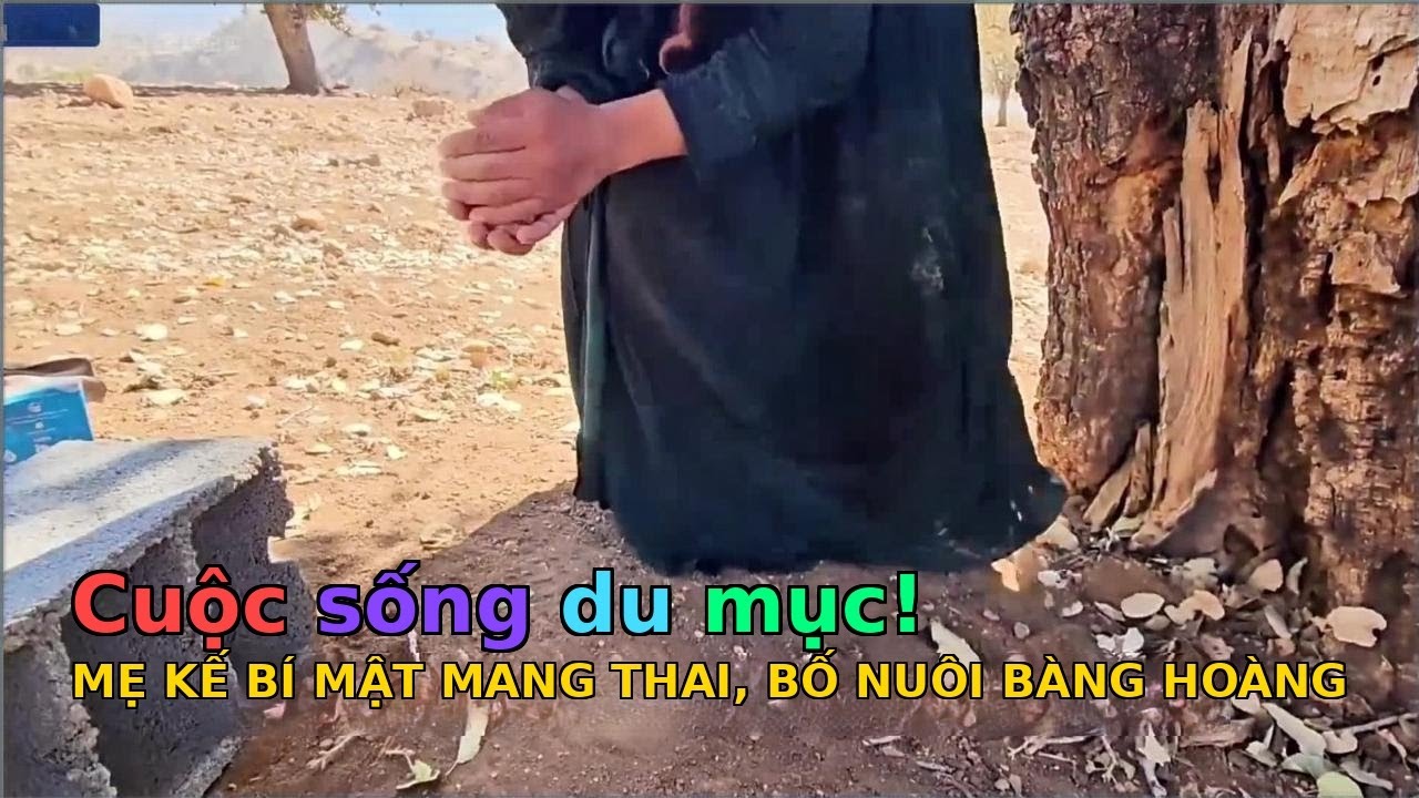 Cuộc sống của hamid và mẹ đỡ đầu của anh ấy - TẬP 1046 - 1048: BOM TẤN: Bà mẹ kế bí mật mang thai 3