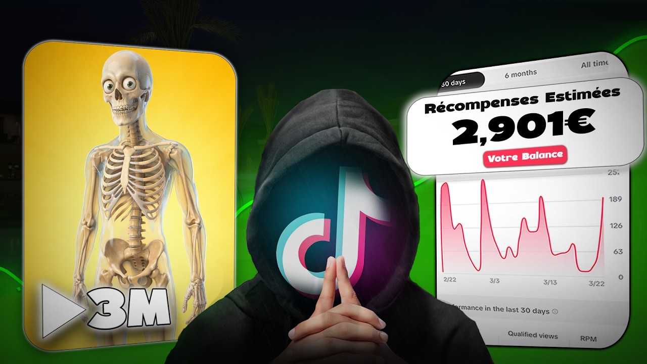 De 0 à +2900€ sur Tiktok avec Cette Niche (Guide Complet)