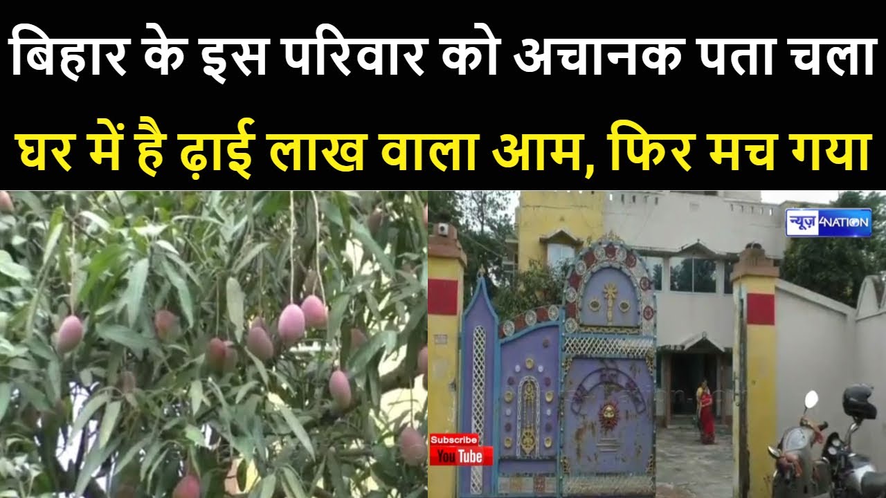 Bihar में इस परिवार के घर में ढ़ाई लाख प्रति किलो बिकने वाला आम, जब पता चला तो बड़ा खतरा।