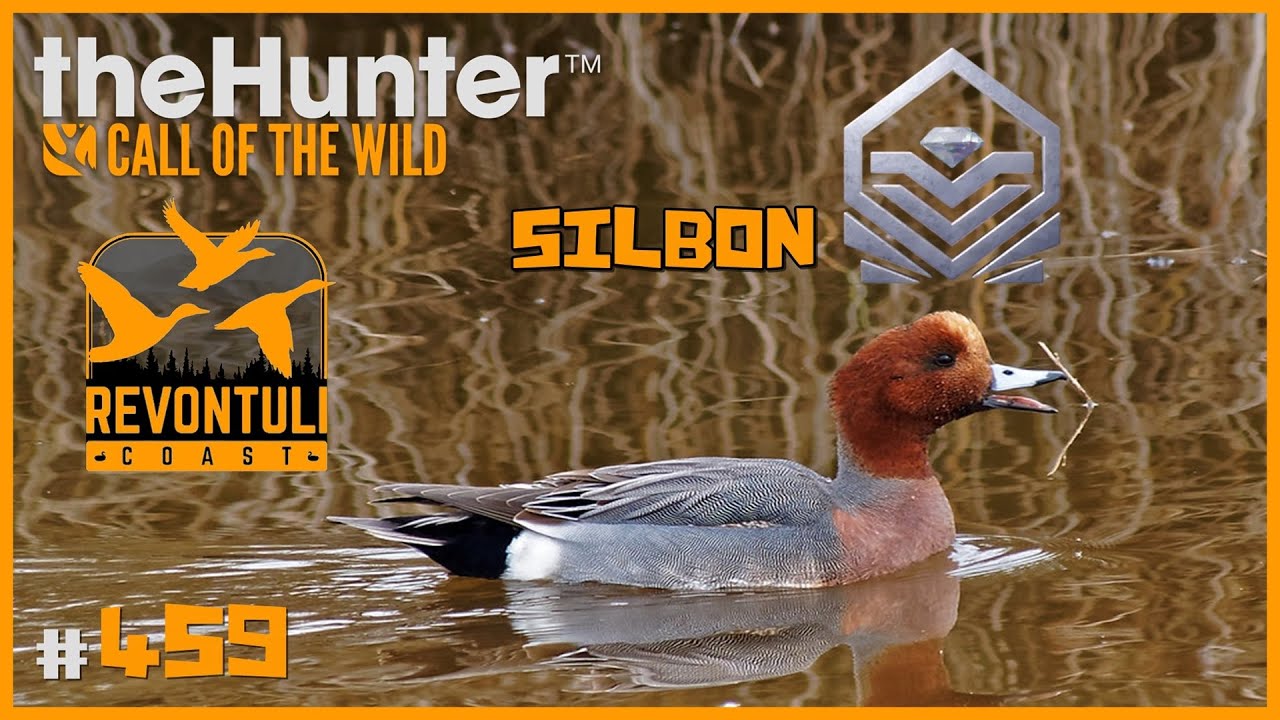 🦌theHunter: CotW #459 | SILBÓN EUROPEO DIAMANTE - CAZA DE AVES ACUÁTICAS | Español
