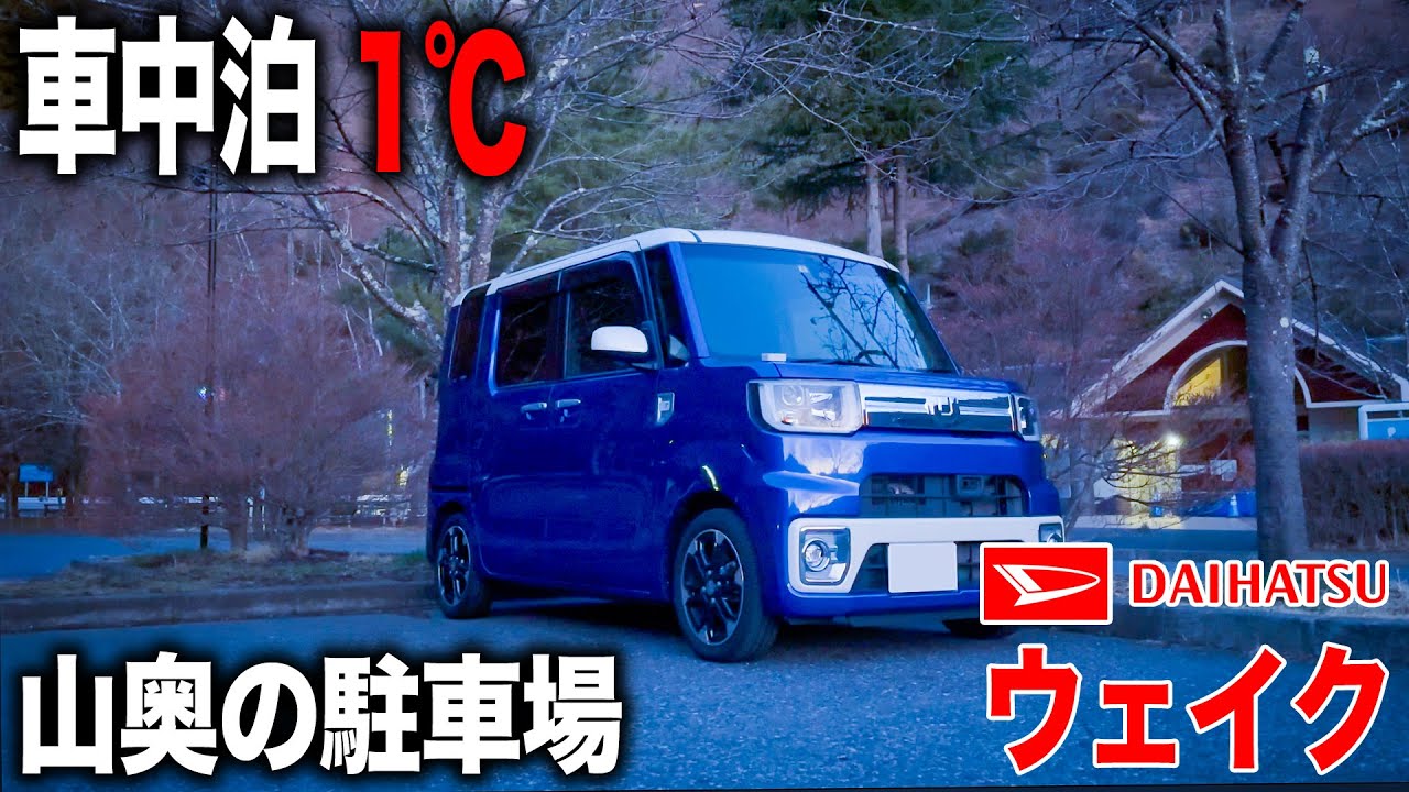 真冬の山奥パーキングで車中泊！特別天然記念物に遭遇！【ダイハツ ウェイク】