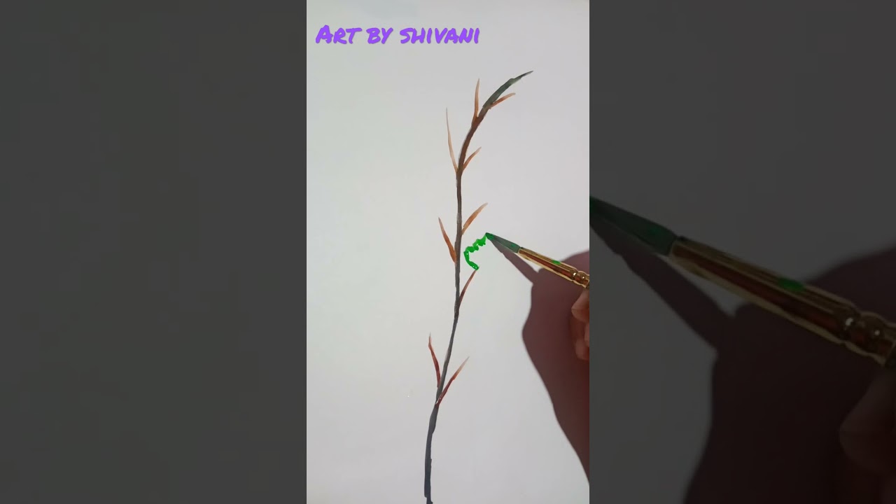 plant stem drawing