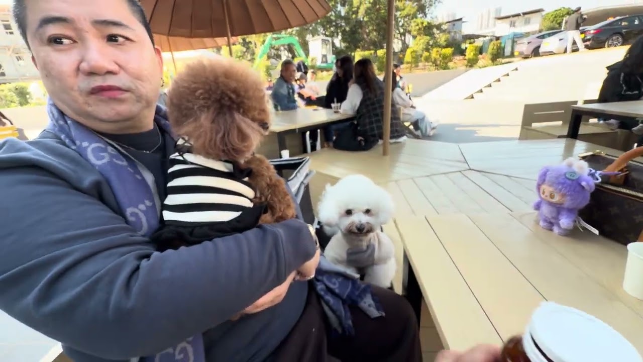 小白小Q - 丫￼咖啡研究所寵物友善元朗Chill好地方👍🏻👍🏻😃😃😋😋