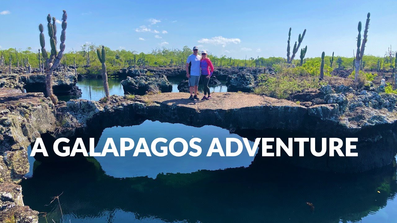 Isabela Island, Galapagos: Boat from Santa Cruz, Snorkel at Los Tuneles (The Tunnels) + Volcano Hike