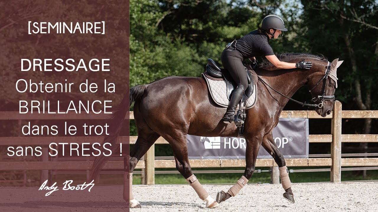 [SEMINAIRE 2023] Dressage : comment obtenir plus de brillance dans le trot ? avec Elsa Beckouche