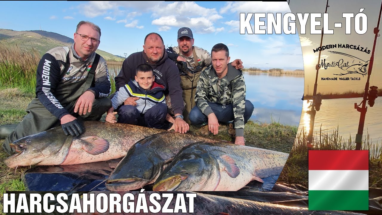Hegyaljai Harcsa Vadászat Kengyel-Tó, Harcsahorgászat (Mysticat Team Modern Harcsázás)