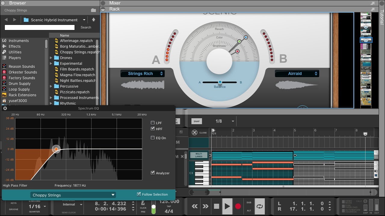 Reason 11 Suite | 🧐 Watch this video before you Upgrade