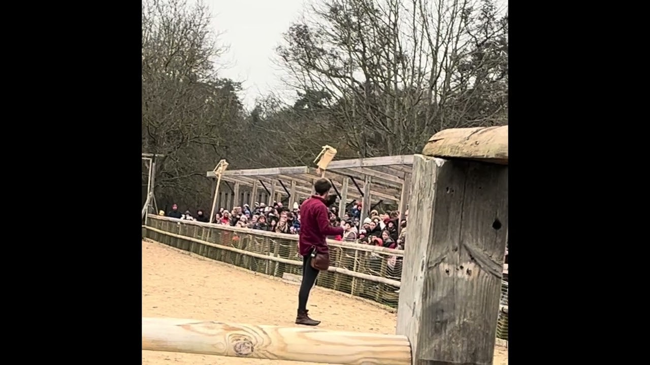 Winter birds of prey at Warwick castle 