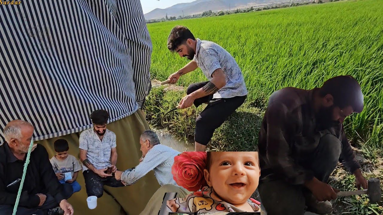 🏡💔 From Channel Deletion to Building Dreams 💪👷 Sajjad & Raheleh's Painful Journey Continues ✨🧱❤️