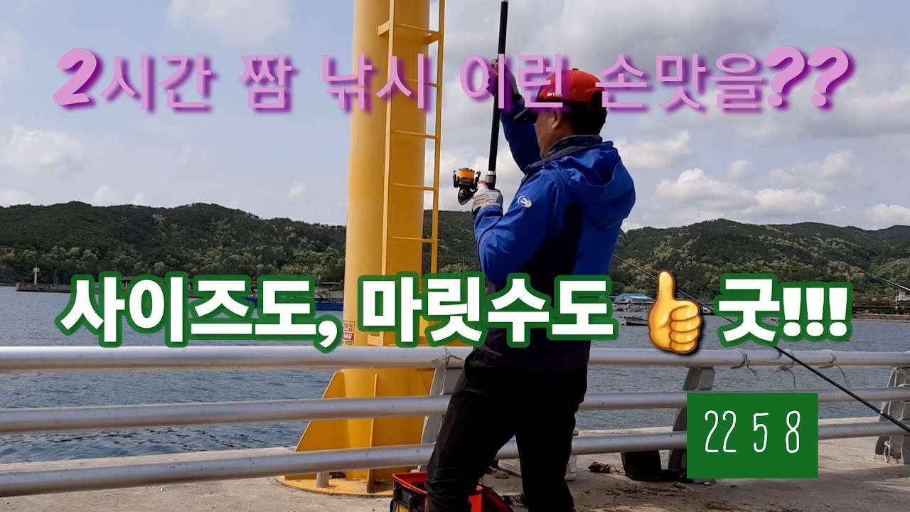 성대낚시  시즌인가?  양포내항 성대, 갑오징어 낚시 (나눔의 기쁨)