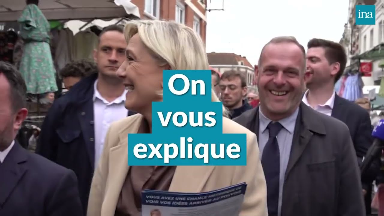 Pourquoi la loi Sapin 2 vaut à Marine Le Pen d'être inéligible ? | INA Politique