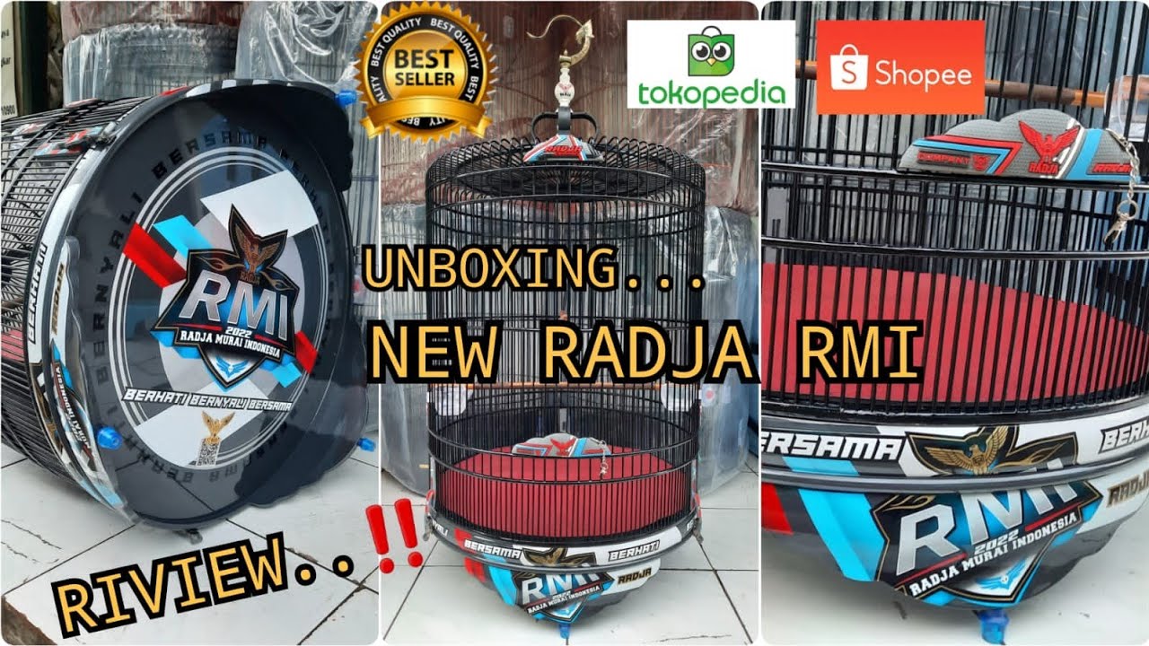 SANGKAR MURAI RADJA RMI TERBARU.(JANGAN LUPA DI SUBSCRIBE YA BOS KU..)terimakasih