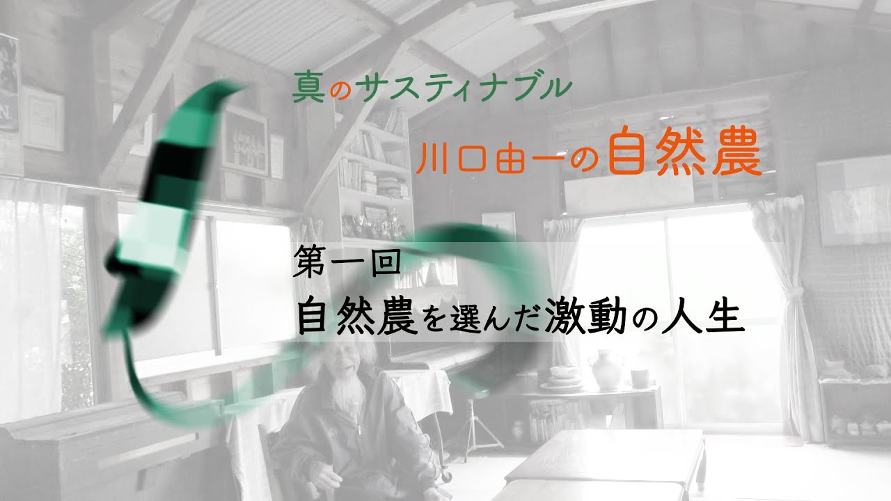 「自然農に切り替えた時 村から出て行ってくれと言われた」真のサスティナブル 川口由一の自然農 1/6 自然農を選んだ激動の人生