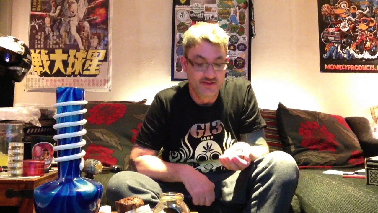 Exodus Cheese strain review.