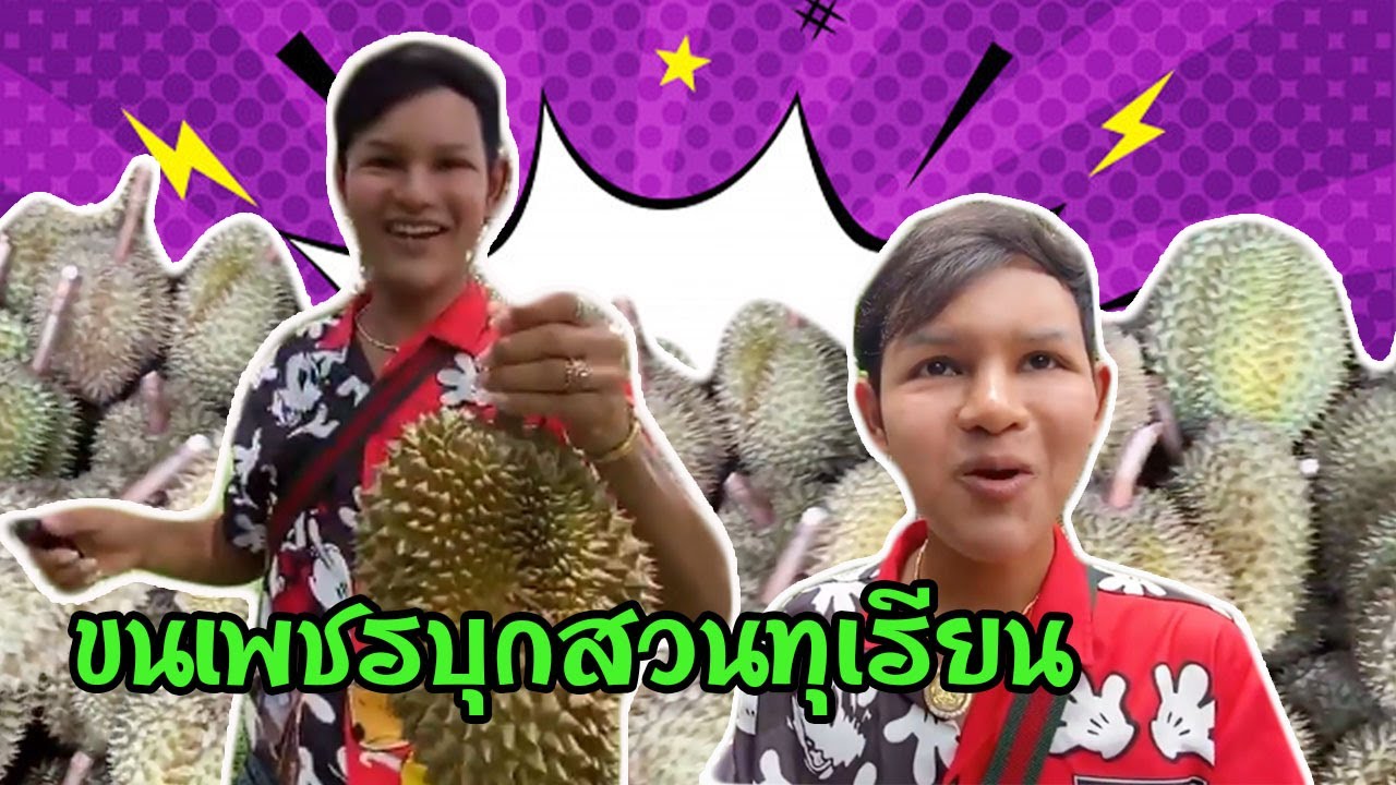 ขนเพชรบุกสวนทุเรียนฮามาก