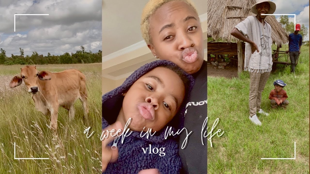 A WEEK IN MY LIFE as a mom and wife in Zimbabwe| we&rsquo;re becoming farmers