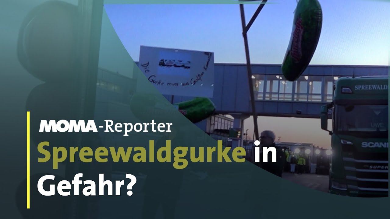 Spreewaldgurke in Gefahr? | ARD Morgenmagazin