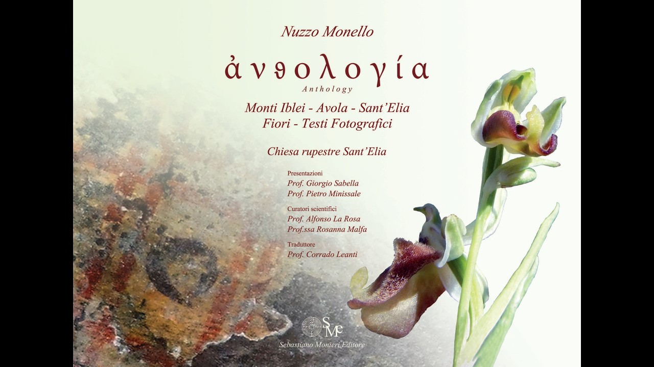 AVOLA   SERATA DI PRESENTAZIONE ANTOLOGIA   NUZZO MONELLO autore  24 GIUGNO 2017