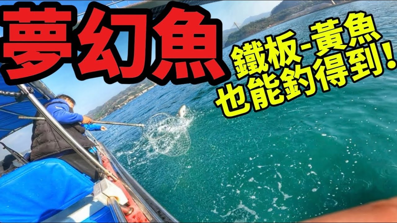 青馬夢幻大馬友🤩你釣到未？#香港釣魚 #高級魚 #高級食材 #海鮮 #jigging 