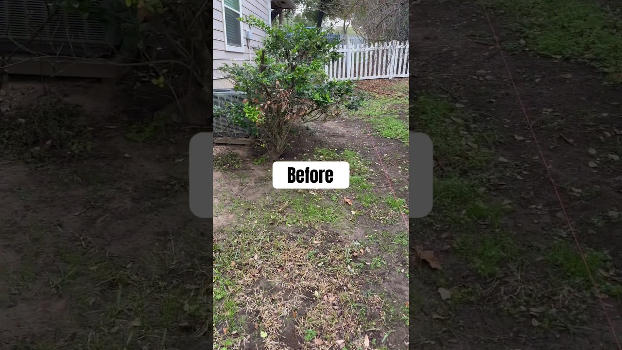 Let the transformation begin🚧 #CedarPark #LandscapeTransformation #landscaping #lawncare #gardening