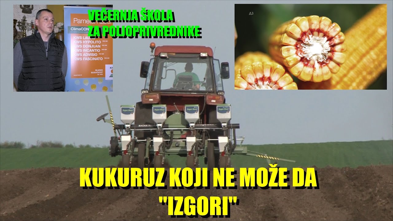 Večernje škole za poljoprivrednike - NOVI HIBRID KUKURUZA KOJI JE NEZAPALJIV - šta to znači ??