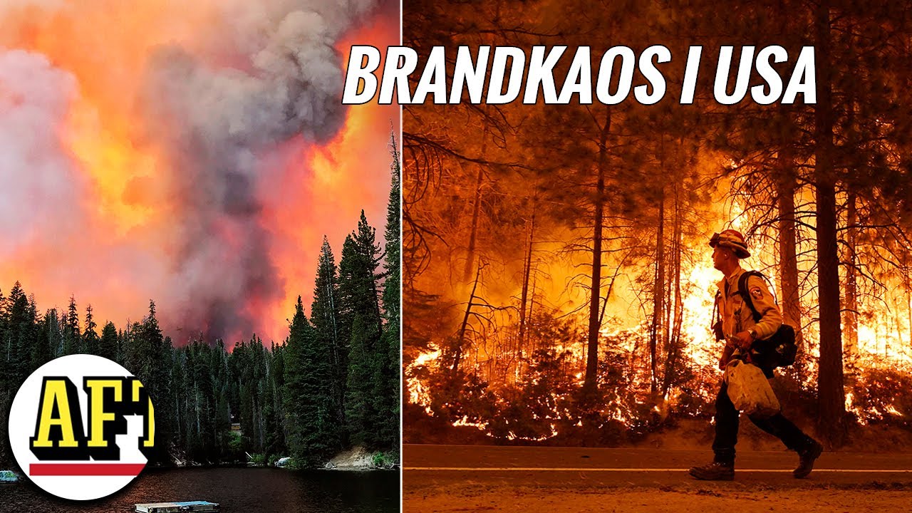 STORA SKOGSBR&Auml;NDER RASAR: Se bilderna fr&aring;n brandkaoset i Kalifornien