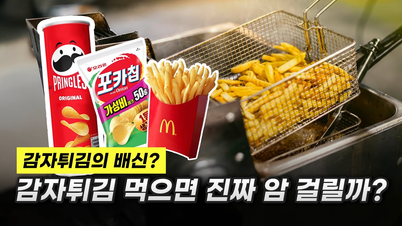 바삭함의 대가? 🍟감자튀김 먹으면 정말 암에 걸릴까?ㅣ아크릴아마이드 논란과 진실ㅣ알쓸식잡 ep.18