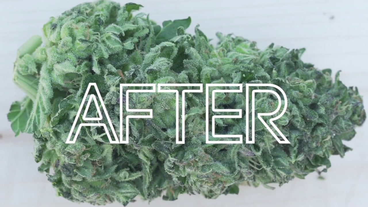 Ez Trim Promo Video (2018)