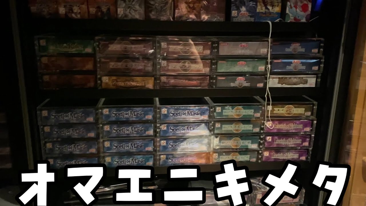 あぶないっ！防湿庫に害虫が侵入した！