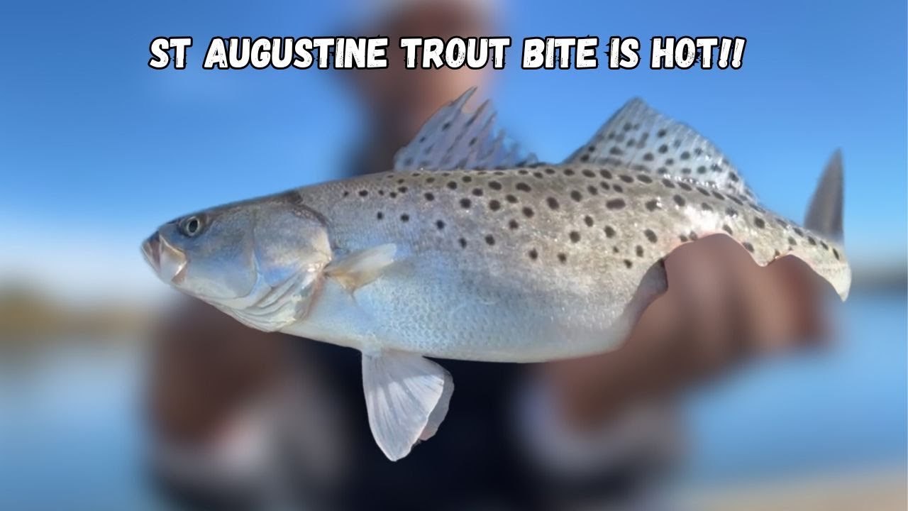 We FOUND the FISH ! | St Augustine Fishing With NON STOP ACTION in Matanzas River