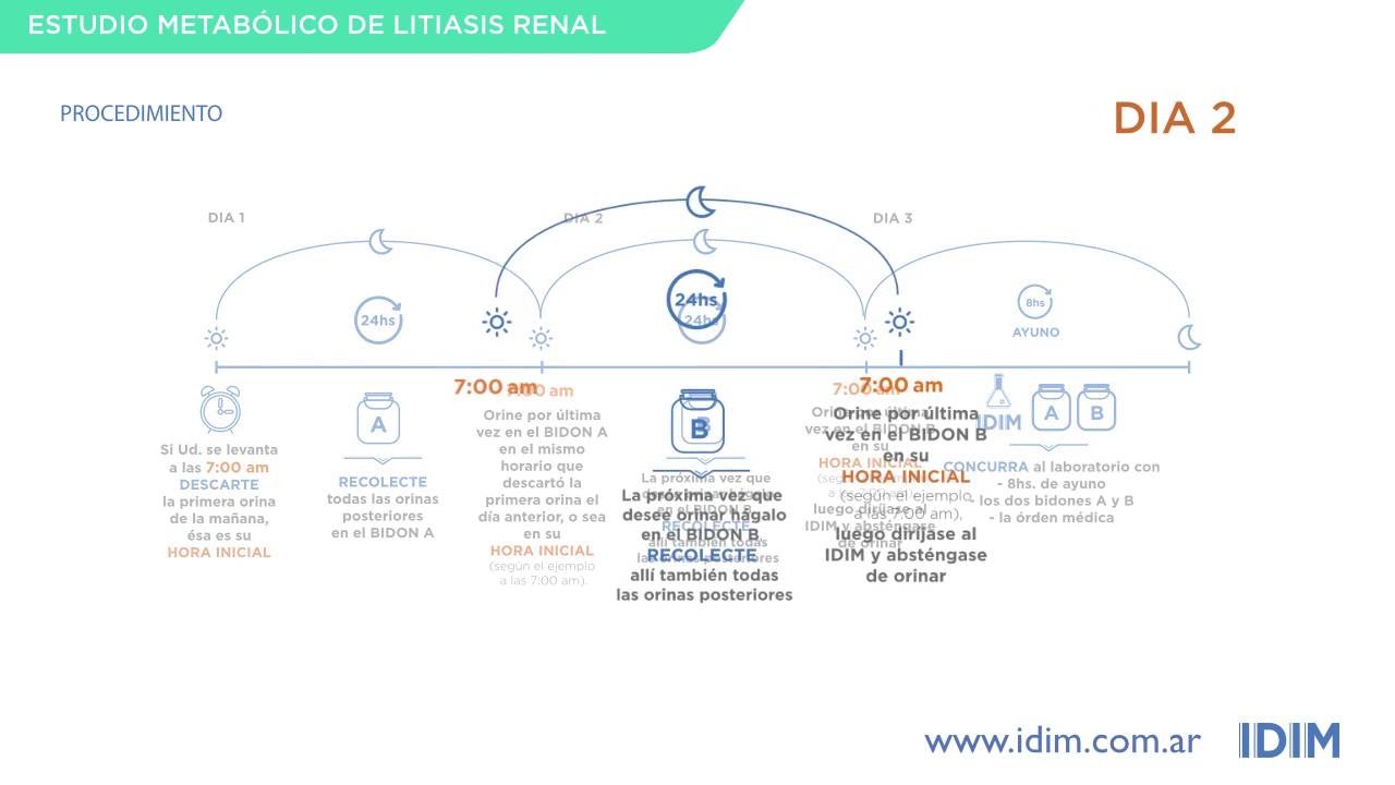 Estudio metabolico de litiasis renal IDIM