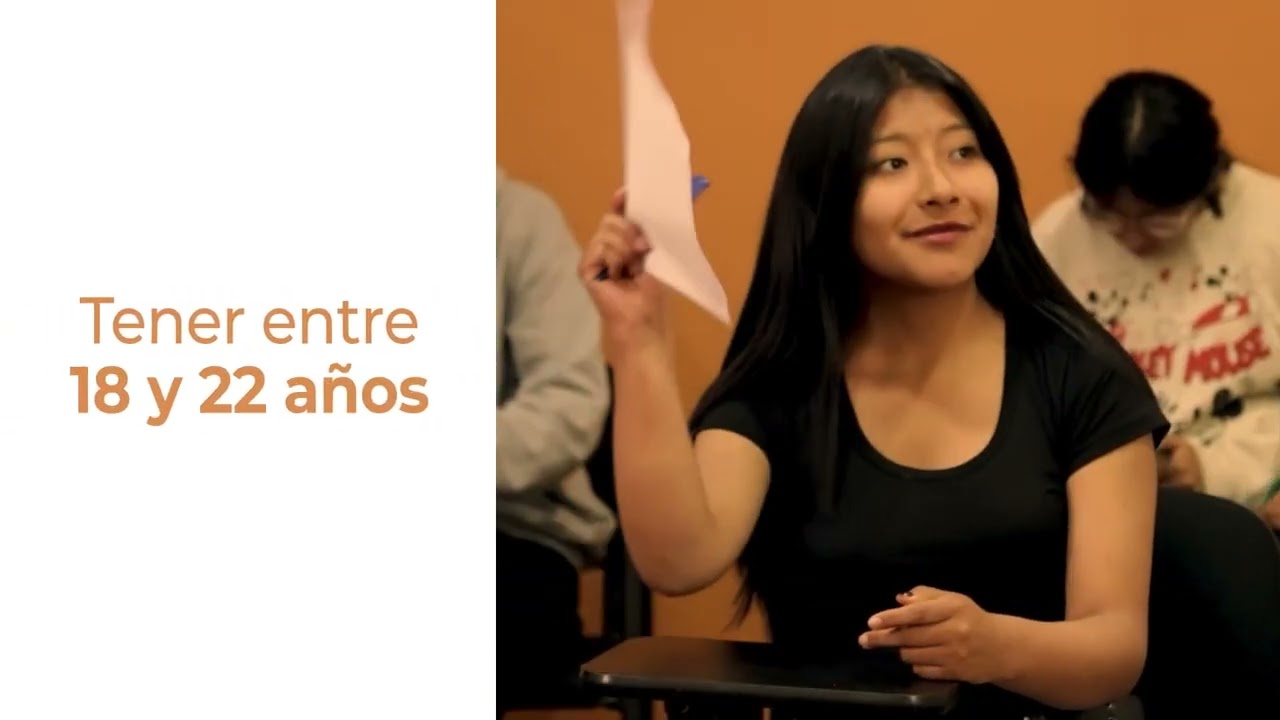 PROGRAMA PUENTE