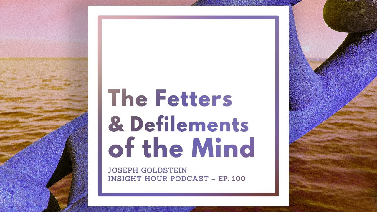 Joseph Goldstein – Insight Hour – Ep. 100 – The Fetters and Defilements of the Mind