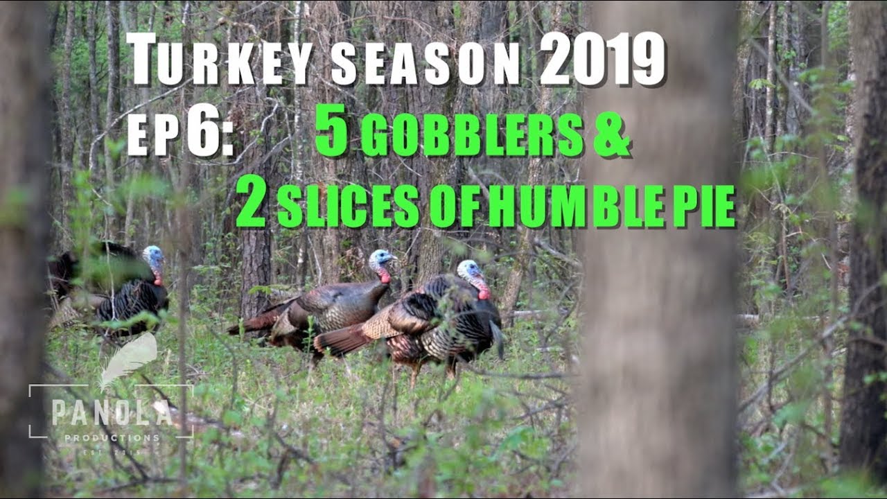 5 GOBBLERS & 2 SLICES OF HUMBLE PIE- Panola Turkey Season 2019 EP.6