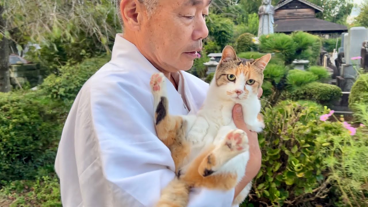 住職とのお散歩が大好きなミー子がかわいい！