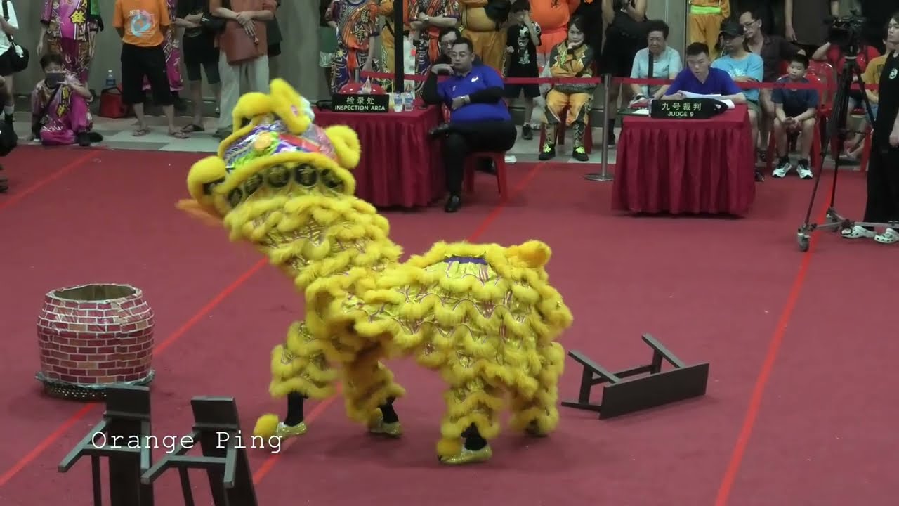 新加坡騰鋒龍獅體育會 Teng Feng Dragon & Lion Dance Association Singapore