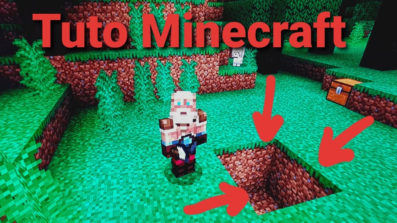 Tuto Minecraft: COMMENT CREUSER UN TROU!!!