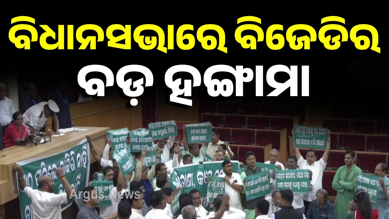 ବିଧାନସଭା ମଝିରେ ହଙ୍ଗାମା | Chaos in Odisha Assembly as BJD Disrupts Proceedings | Argus News
