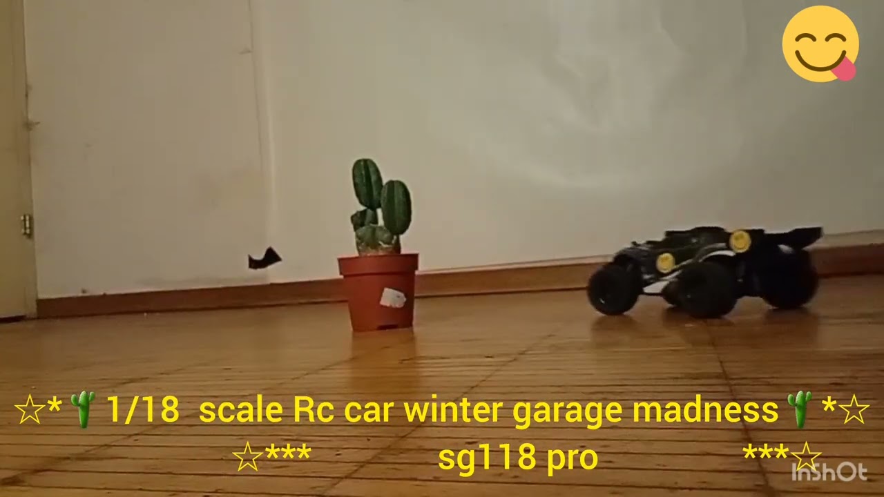 Sg118 pro  1/18   rc car 