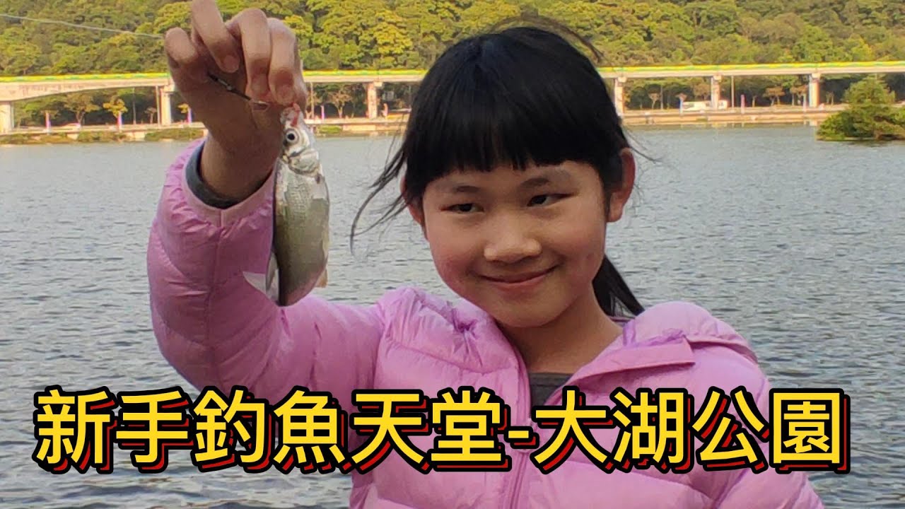 台北內湖大湖公園親子釣遊-新手釣魚的天堂