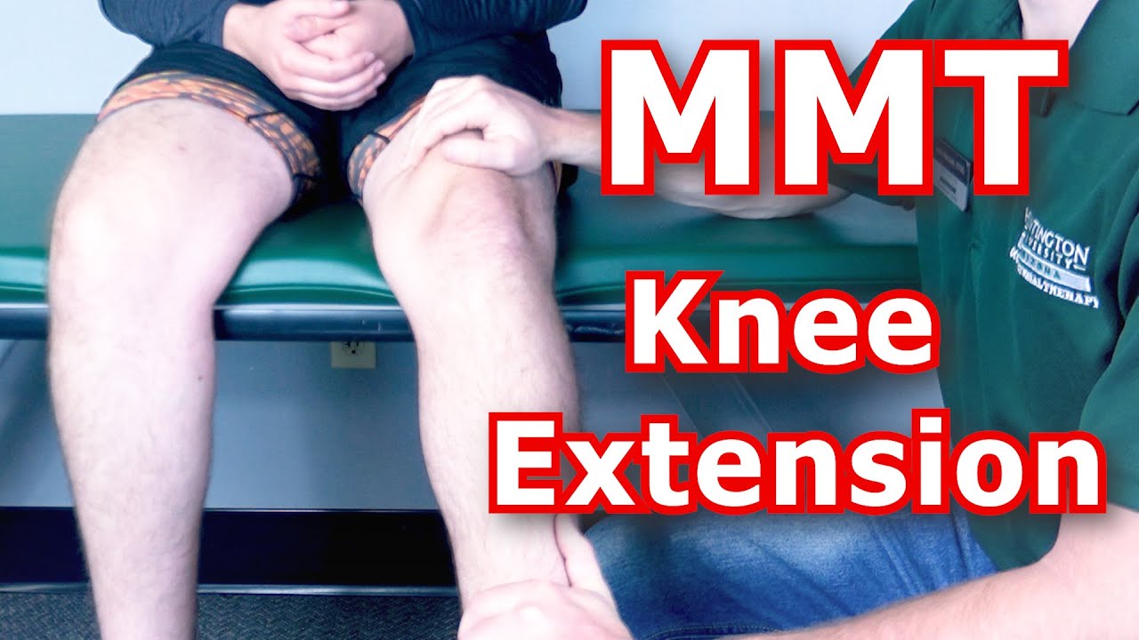 Manual Muscle Testing (MMT) - Knee Extension