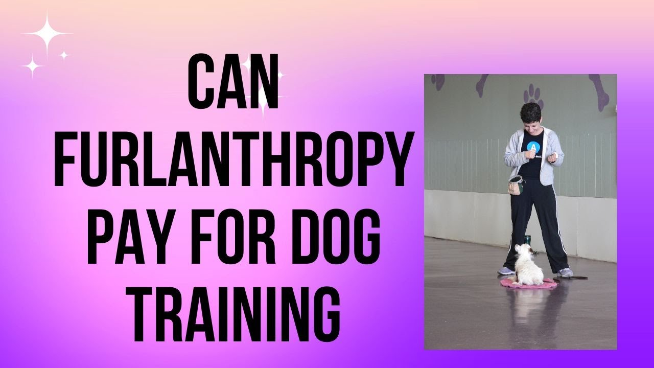 How Can Furlanthropy Pay For Training?